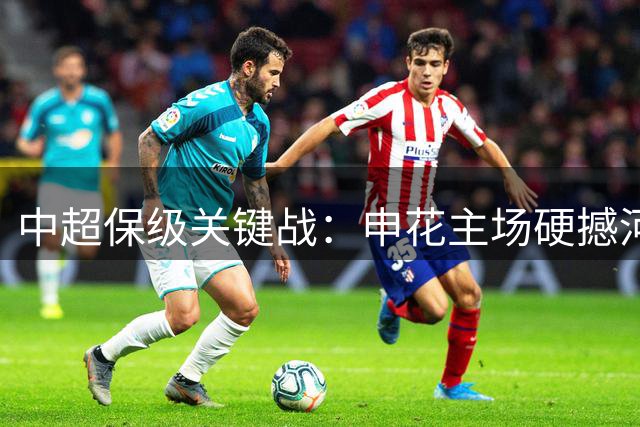 中超保级关键战：申花主场硬撼河南 王上源解禁归来暗藏杀机