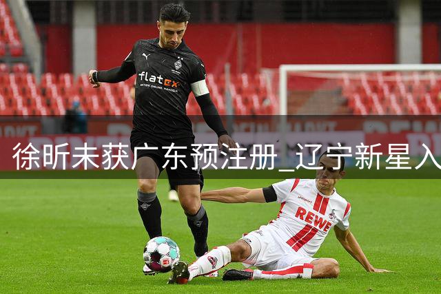 徐昕未获广东预注册 辽宁新星入队 山东追比斯利 广厦留胡金秋