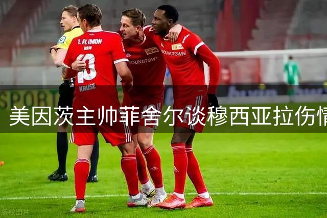 美因茨主帅菲舍尔谈穆西亚拉伤情：健康是第一要务