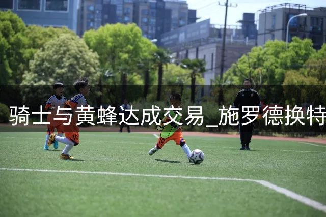 骑士与黄蜂达成交易 施罗德换特雷-曼